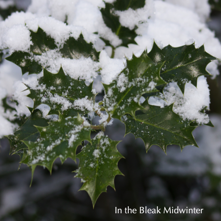 O Holy Night (Single)